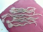 handmade 10 dreadlocks 100% human hair 10" light blonde #613