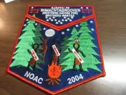 Ajapeu 33 s44 & x19 2004 NOAC 2 Piece Set EB10