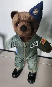 Bear Forces of America 11" Plush USAF Teddy Bear