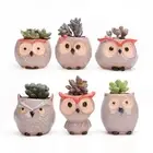 Owl Flower Owl Flower Pot Ceramic Thumb Flower Pot Cute Ceramic Pots