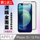 IPhone 12/12 PRO 保護貼 買一送一 滿版黑框手機保護貼(買一送一 IPhone 12/12 PRO 保護貼)