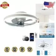Alexa & Google Assistant Smart Ceiling Fan with Light - 20" Low Profile Design