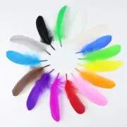 50 Pieces Natural Feathers for Costume Hat Home Decoration Crafts 12 20cm