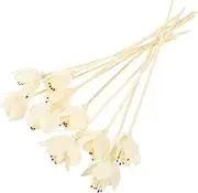 10Pcs Diffuser Sticks for Essential Oils Natural Dried Flower Diffuser Sticks Spa Aroma Fragrance Accessories for Home and Car Use Enhance Air