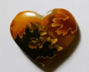 31.55 Cts Natural Ammonite Heart Cabochon Loose Gemstone 22.5X26.4X6MM