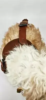 JOJO Soft Leather Adjustable Dog Harness /Non-Pull Pet Harnes/Outdoor Pet WALNUT