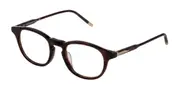 Lozza VL4238 Biella 3 0752 Men's Glasses Tortoiseshell Size 49 - Private Health Rebate - Blue Light Block Available