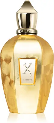 Xerjoff Accent Overdose EDP U 100 ml