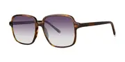 Paradigm Fonda Sun Tortoise Women’s Sunglasses Tortoiseshell Size 56