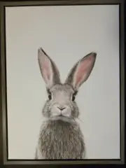 Kate and Laurel Sylvie Baby Bunny 24 inch by18 inch Canvas Wall Art with Grey Fr