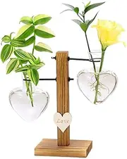 Plant Propagation Stations Terrarium with Wooden Stand-Desktop Glass Bulb Plant Vase for Propagating Hydroponic Plants Home Garden Office Decor (Style 4)