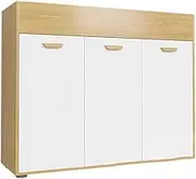Filing Cabinet Office Partition Low Cabinet File Cabinet Storage Cabinet Partition Flower Cabinet Data Cabinet Office Furniture Flower Trough Cabinet File Storage Cabinets (Color : 1200 * 400 * 1000)