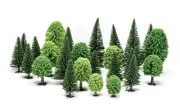 Hornby Hobby Mixed (Deciduous and Fir) Trees R7201 OO Gauge Model Railway