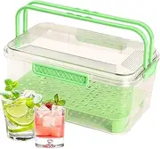 Food Storage Containers | Outdoor Food Container Lidded - Handled Serving Case, Kitchen Organizer for Picnic Camping Meal Salad Dessert Snacks Fruits