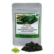 Dried Sea Grapes, Fresh Organic Seaweed, Umibudo, Dehydrated Caulerpa Lentill...