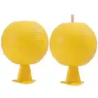 Fruit Fly Traps Useful Sticky Traps Multifunction for Fruit Fly Hoverfly Gnat #