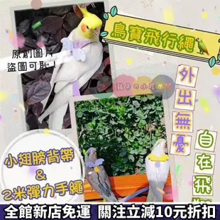 可愛寵物用品🌻鸚鵡外出繩 遛鳥繩 鸚鵡用品鳥用品 鸚鵡飛行繩牽繩 鸚鵡放飛繩鳥外出飛行繩