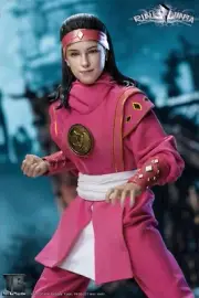 TOYS BATTALION 1/6 TB018 Pink Ninja Action Joints PVC Figure Toys Collection
