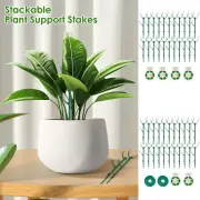 Plants Support Frameworks Plastic Plants Support Stakes Robust Support xidXz