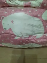 在飛比找Yahoo!奇摩拍賣優惠-韓國棉被 北極熊冬被 廣藏市場