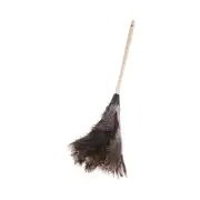 Boardwalk 23FD 13" Handle Professional Ostrich Feather Duster New