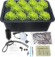GROZY Hydroponics DWC Growing System 6/8/11 Net Pots Rooting Seedling Propagation Kit, Medium Size w/Airstone, Air Pump, Rockwool - Best Indoor Herb Garden for Lettuce, Mint, Parsley(Black)