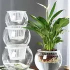 Visible Water Level Lazy Water-absorbing Flower Pot Glass Water Planting Pots