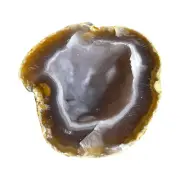 Natural Botryoidal Agate Geode - B
