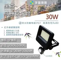 在飛比找蝦皮購物優惠-【宇豐國際】台灣品牌 LED 30W/50W 黑燕感應投光燈