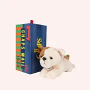 Bertha the American Bulldog in giftbox by BT Chaps | the memo