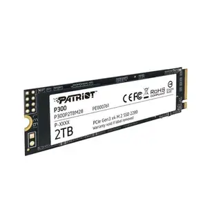 PATRiOT美商博帝 P300 SSD固態硬碟 M.2 256G 512G 1TB 2TB PCIe 3.0 Gen3