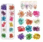 12 Colors Real Dried Flowers 3D Nail Art Decors Design DIY Tips Manicure Box Set