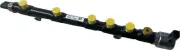 Genuine JCB 444 Tier 4 Dieselmax Ecomax Injector Rail 320/06872 Delphi 28252069