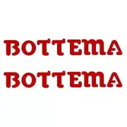 Bottema - DIE CUT fork decals - RED - Old school bmx