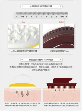 強力推薦推脂按摩瘦身刷 (2.1折)