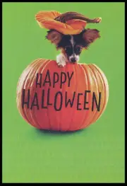 Greeting Card - Dog Puppy Papillon - Halloween - 0203