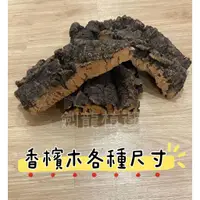 在飛比找蝦皮購物優惠-［劍龍植選］現貨 各種尺寸厚切香檳木  鹿角蕨板材 守宮爬行