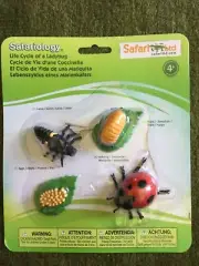 Safariology Safari Ltd LIFE CYCLE OF A LADYBUG Educational Toy Model NEW