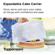 NEW-Tupperware Collapsible Cake Taker MINT GREEN two sided Base-NEW FREE SHIP