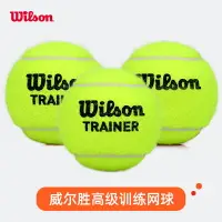 在飛比找樂天市場購物網優惠-Wilson威爾勝訓練網球練習球耐磨耐打威爾遜無壓比賽網球 