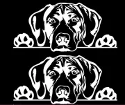 Peeking Lab Dog Two 6" white Vinyl Decal Car Truck Windows Laptop RV Notebook