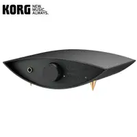 在飛比找蝦皮購物優惠-【KORG】 DS-DAC-100 數位類比轉換器 耳機擴大