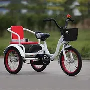 DEFGHIJ Kids Tricycle Boys Girls Three Wheel Bikes Adjustable Height Three Wheel Bikes High Carbon Steel Frame with Bell Load Bearing 100kg(Red 14 Inch)(Red,14 Inch)
