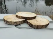 All Natural Aquarium Driftwood round discs Reptile Ornament for Fish Tank