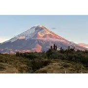 Save 5.01%! Cotopaxi Volcano Day Tour From Quito