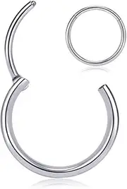 [PIERCINGBOY] Titanium Nose Rings 20G 18G 16G Nose Rings Hoops 2Pcs Septum Clicker Hinged Segment Ring Cartilage Helix Tragus Conch Daith Rook Hoop Earring, Diameter 5mm to 12mm Silver-Gold-Rose Gold-Black Hoop Ring