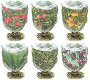 6/4Pcs Plant Bird Netting Reusable PE Insect Bird Barrier Netting Mesh with Drawstring Garden Netting Bug Barrier Tomato Protective Netting Cover for Fruit Trees Vegetables Flowers(0.A.*0 B.,white)