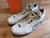 在飛比找Yahoo!奇摩拍賣優惠-3灰色Nike LeBron LBJ AZG air zoo