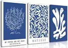 Hwetui Framed Blue Matisse Wall Art Set of 3 Navy Abstract Botanical Poster M...