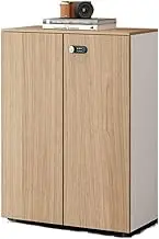 File Cabinet Single Wooden Filing Cabinet Original Wood Color Double Door Storage Data Cabinet Office Drawer